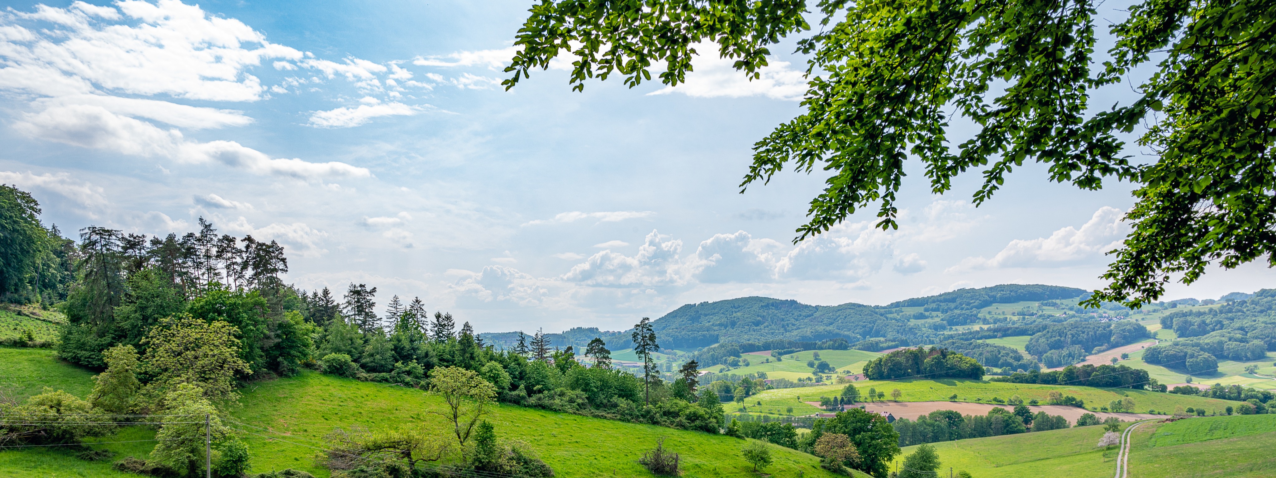 homayounchap.ir | مدیر آزاد